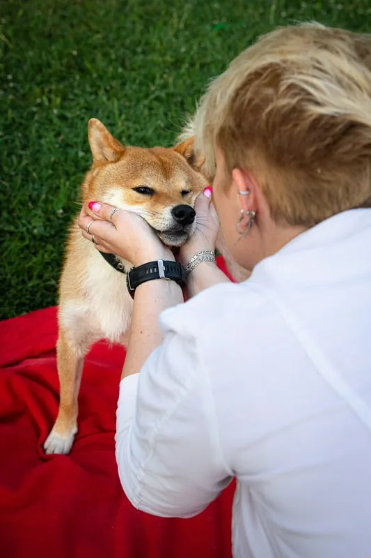 Услуги стилиста 1